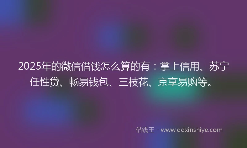 2025年的微信借钱怎么算的有：掌上信用、苏宁任性贷、畅易钱包、三枝花、京享易购等。