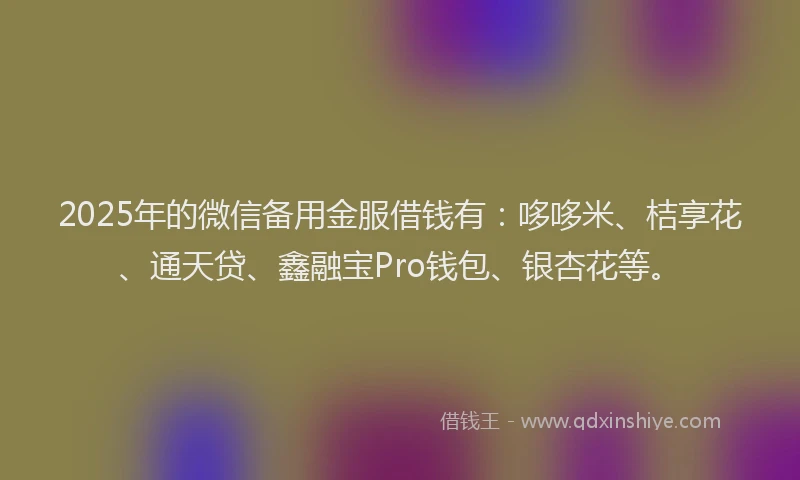2025年的微信备用金服借钱有：哆哆米、桔享花、通天贷、鑫融宝Pro钱包、银杏花等。