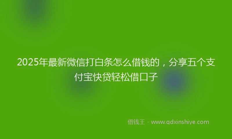 2025年最新微信打白条怎么借钱的，分享五个支付宝快贷轻松借口子
