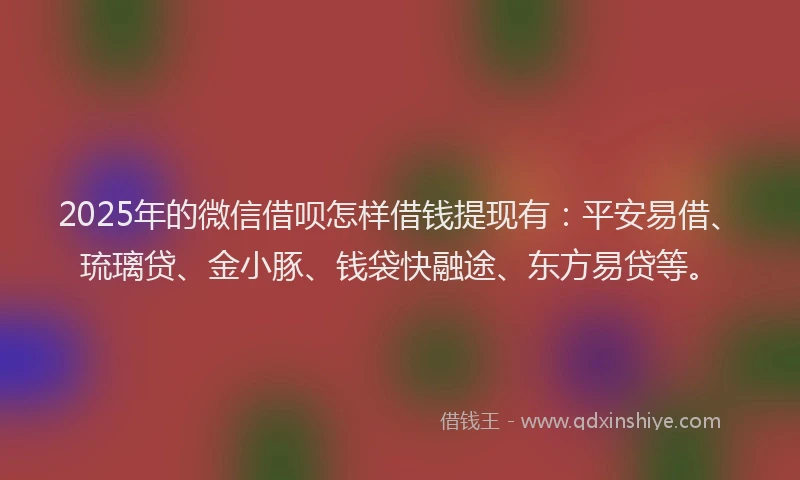 2025年的微信借呗怎样借钱提现有：平安易借、琉璃贷、金小豚、钱袋快融途、东方易贷等。