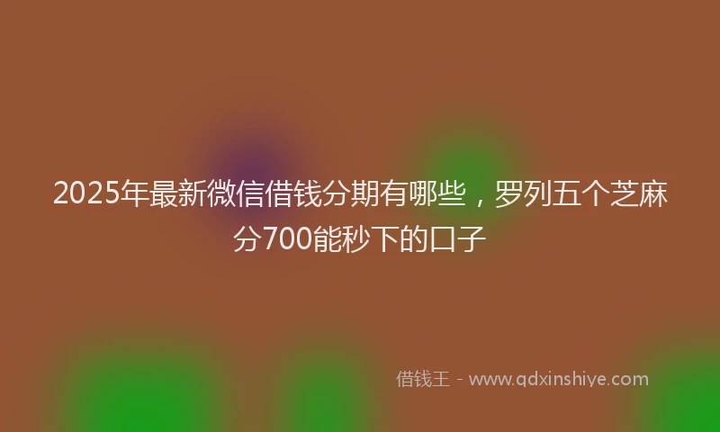 2025年最新微信借钱分期有哪些，罗列五个芝麻分700能秒下的口子