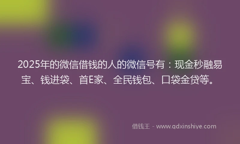 2025年的微信借钱的人的微信号有：现金秒融易宝、钱进袋、首E家、全民钱包、口袋金贷等。