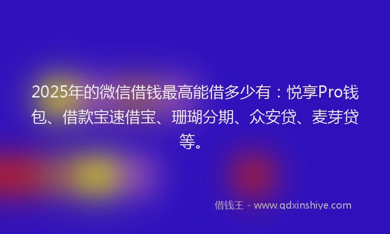 2025年的微信借钱最高能借多少有：悦享Pro钱包、借款宝速借宝、珊瑚分期、众安贷、麦芽贷等。