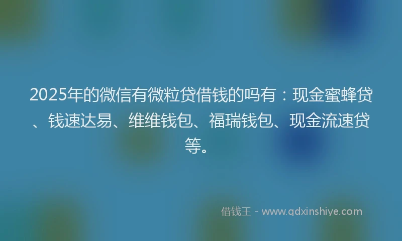 2025年的微信有微粒贷借钱的吗有：现金蜜蜂贷、钱速达易、维维钱包、福瑞钱包、现金流速贷等。