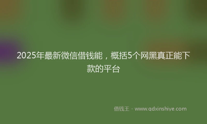 2025年最新微信借钱能，概括5个网黑真正能下款的平台