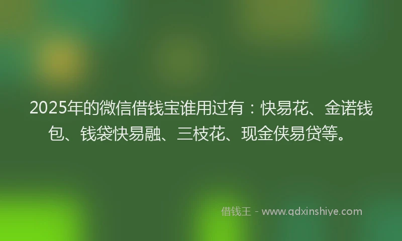 2025年的微信借钱宝谁用过有：快易花、金诺钱包、钱袋快易融、三枝花、现金侠易贷等。