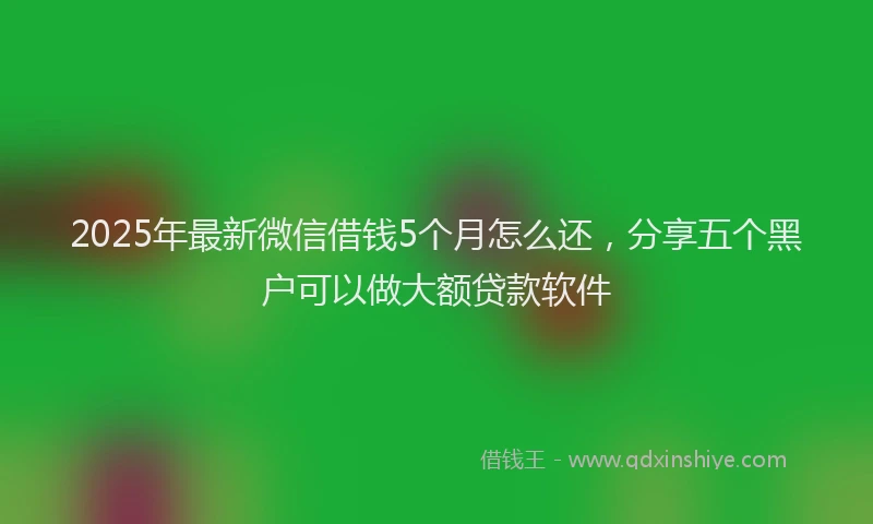 2025年最新微信借钱5个月怎么还，分享五个黑户可以做大额贷款软件