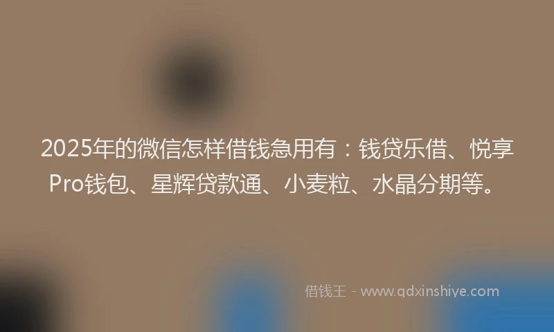 2025年的微信怎样借钱急用有：钱贷乐借、悦享Pro钱包、星辉贷款通、小麦粒、水晶分期等。