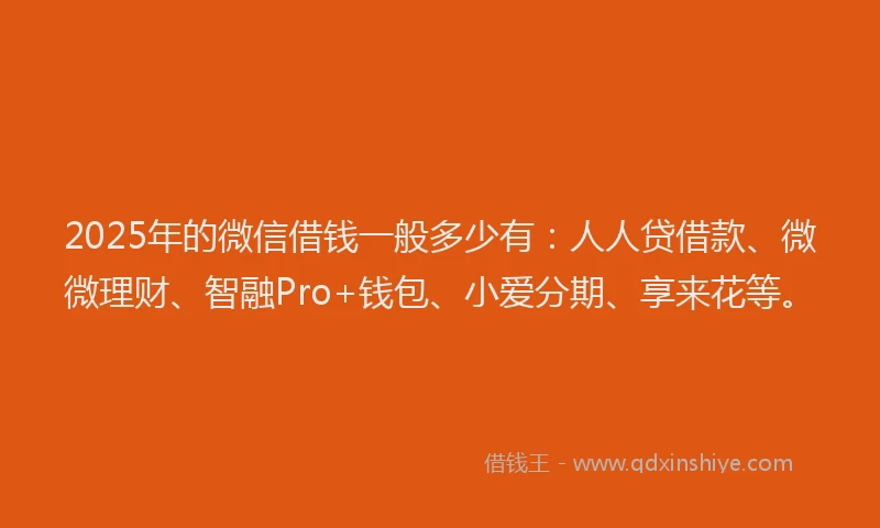2025年的微信借钱一般多少有：人人贷借款、微微理财、智融Pro+钱包、小爱分期、享来花等。