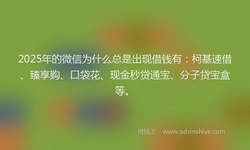 2025年的微信为什么总是出现借钱有：柯基速借、臻享购、口袋花、现金秒贷通宝、分子贷宝盒等。