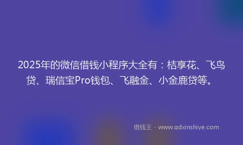 2025年的微信借钱小程序大全有：桔享花、飞鸟贷、瑞信宝Pro钱包、飞融金、小金鹿贷等。
