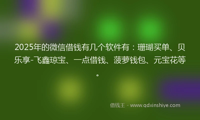 2025年的微信借钱有几个软件有：珊瑚买单、贝乐享-飞鑫琼宝、一点借钱、菠萝钱包、元宝花等。