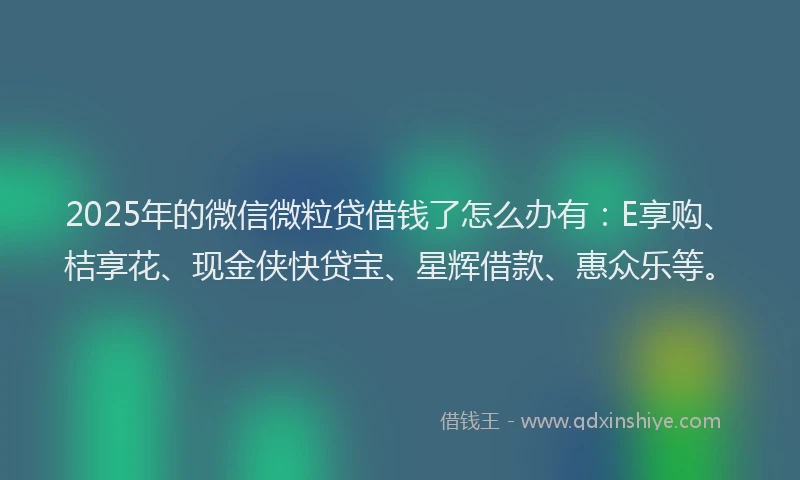2025年的微信微粒贷借钱了怎么办有：E享购、桔享花、现金侠快贷宝、星辉借款、惠众乐等。