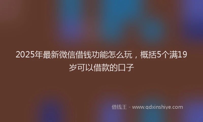 2025年最新微信借钱功能怎么玩，概括5个满19岁可以借款的口子