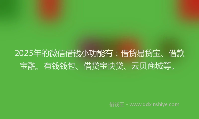 2025年的微信借钱小功能有：借贷易贷宝、借款宝融、有钱钱包、借贷宝快贷、云贝商城等。