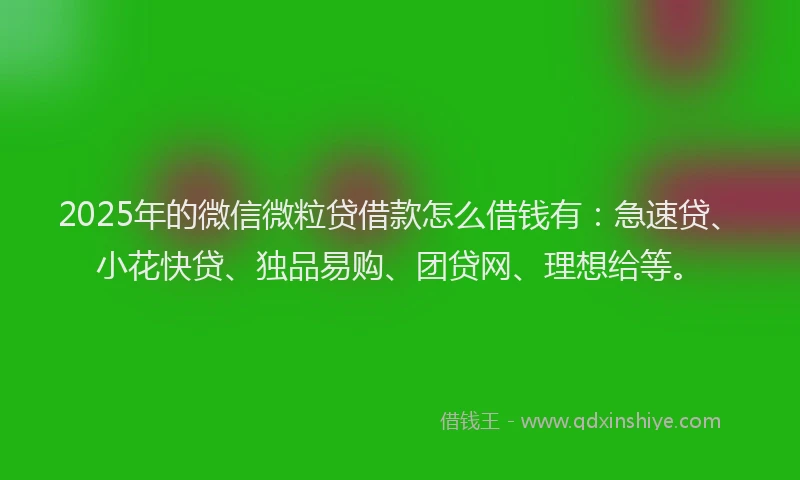 2025年的微信微粒贷借款怎么借钱有：急速贷、小花快贷、独品易购、团贷网、理想给等。