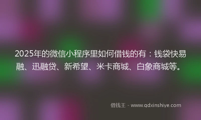 2025年的微信小程序里如何借钱的有：钱袋快易融、迅融贷、新希望、米卡商城、白象商城等。