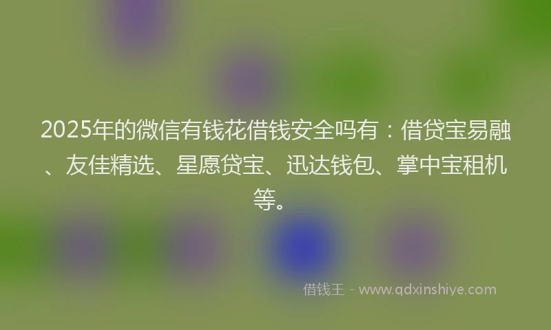 2025年的微信有钱花借钱安全吗有：借贷宝易融、友佳精选、星愿贷宝、迅达钱包、掌中宝租机等。