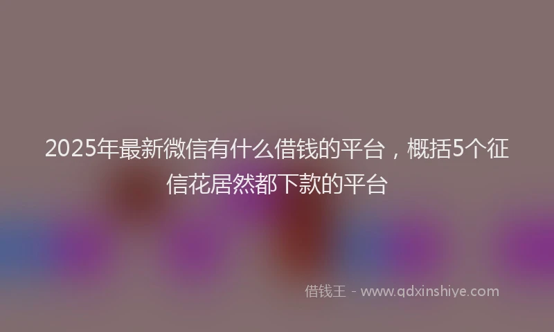 2025年最新微信有什么借钱的平台，概括5个征信花居然都下款的平台