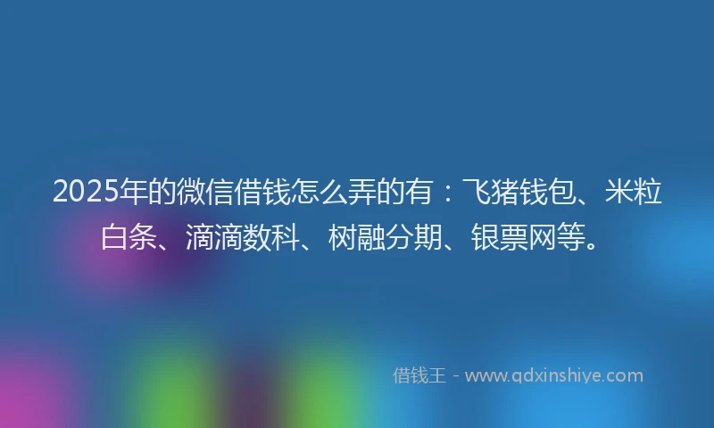 2025年的微信借钱怎么弄的有：飞猪钱包、米粒白条、滴滴数科、树融分期、银票网等。