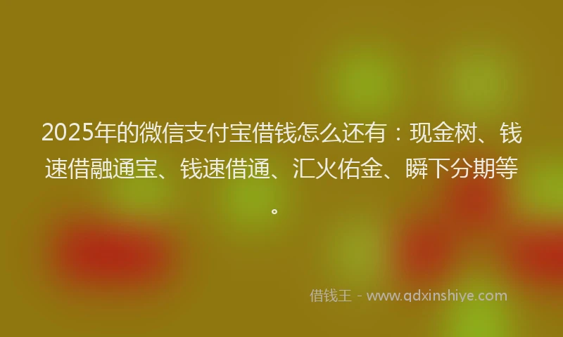 2025年的微信支付宝借钱怎么还有：现金树、钱速借融通宝、钱速借通、汇火佑金、瞬下分期等。