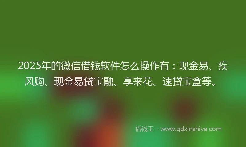 2025年的微信借钱软件怎么操作有：现金易、疾风购、现金易贷宝融、享来花、速贷宝盒等。
