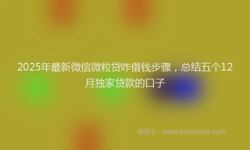 2025年最新微信微粒贷咋借钱步骤，总结五个12月独家贷款的口子