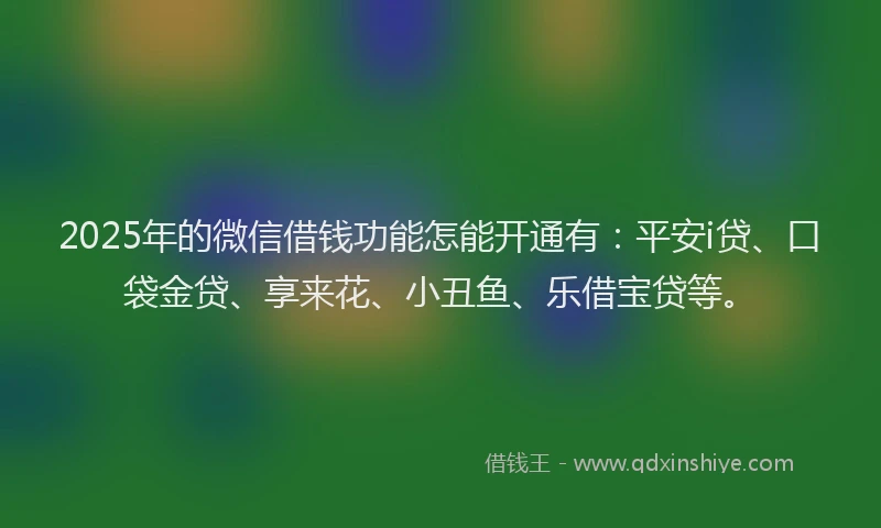 2025年的微信借钱功能怎能开通有：平安i贷、口袋金贷、享来花、小丑鱼、乐借宝贷等。