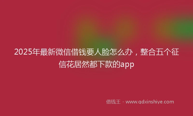 2025年最新微信借钱要人脸怎么办，整合五个征信花居然都下款的app