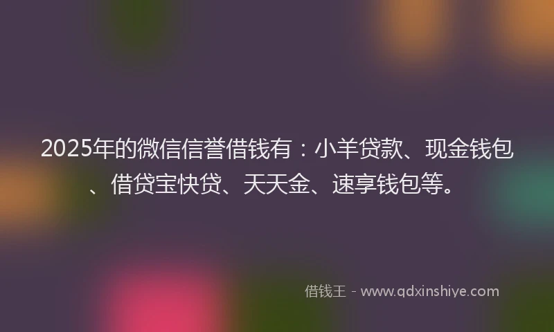 2025年的微信信誉借钱有：小羊贷款、现金钱包、借贷宝快贷、天天金、速享钱包等。