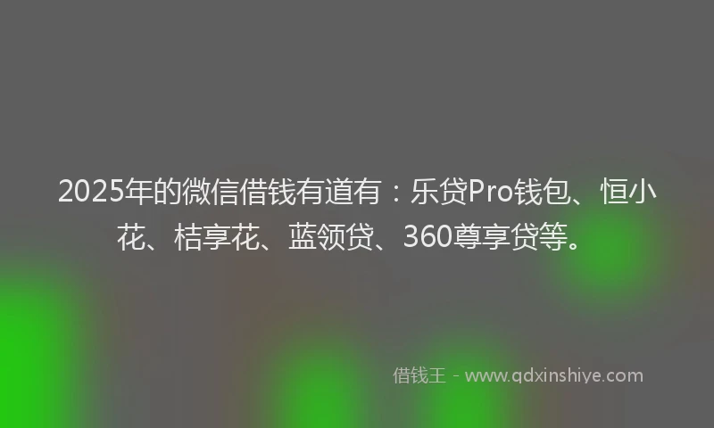 2025年的微信借钱有道有：乐贷Pro钱包、恒小花、桔享花、蓝领贷、360尊享贷等。