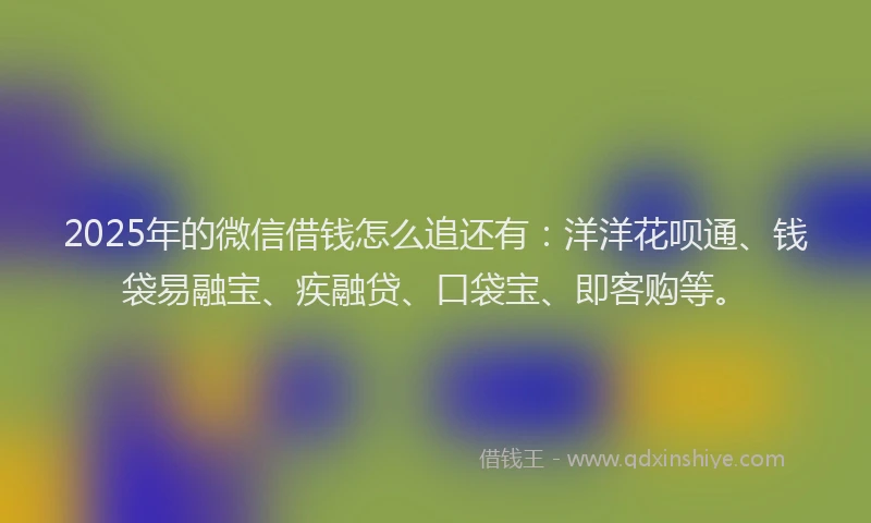 2025年的微信借钱怎么追还有：洋洋花呗通、钱袋易融宝、疾融贷、口袋宝、即客购等。