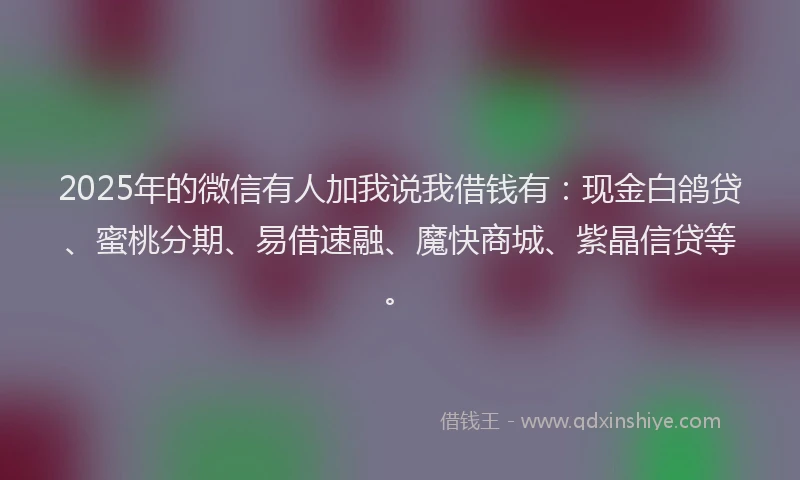 2025年的微信有人加我说我借钱有：现金白鸽贷、蜜桃分期、易借速融、魔快商城、紫晶信贷等。