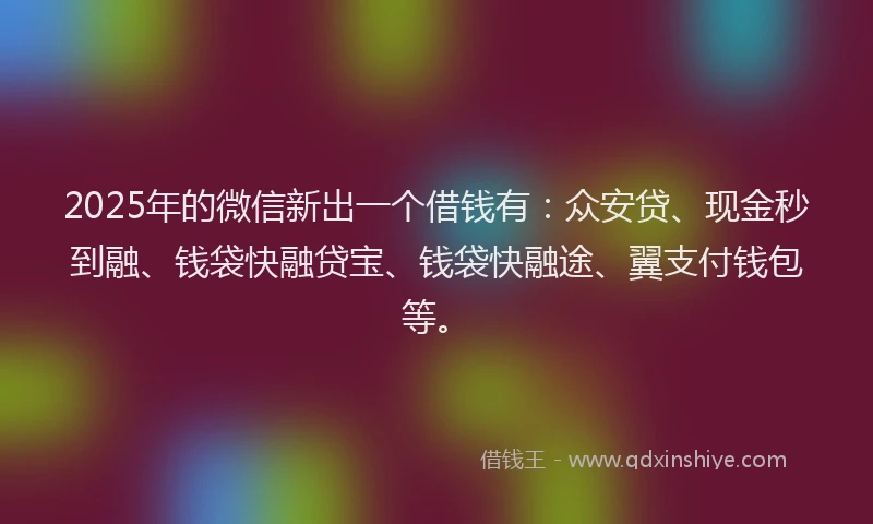 2025年的微信新出一个借钱有：众安贷、现金秒到融、钱袋快融贷宝、钱袋快融途、翼支付钱包等。