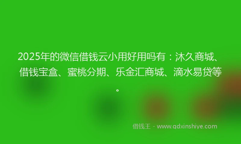 2025年的微信借钱云小用好用吗有:沐久商城、借钱宝盒、蜜桃分期、乐金汇商城、滴水易贷等。