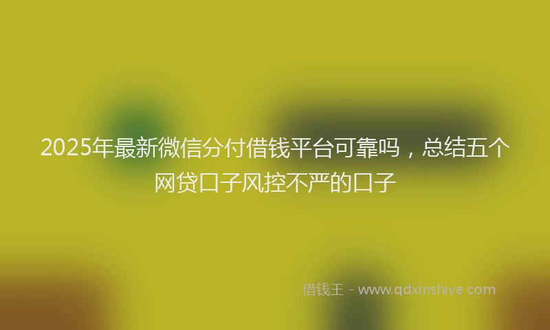 2025年最新微信分付借钱平台可靠吗，总结五个网贷口子风控不严的口子