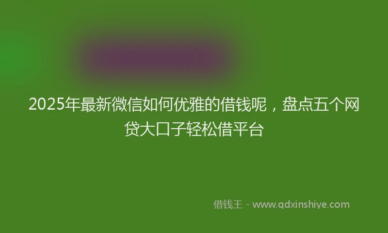 2025年最新微信如何优雅的借钱呢，盘点五个网贷大口子轻松借平台