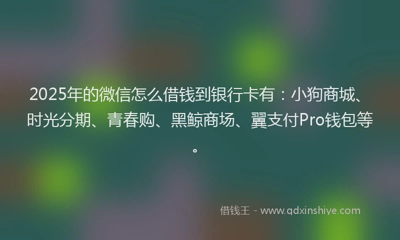 2025年的微信怎么借钱到银行卡有：小狗商城、时光分期、青春购、黑鲸商场、翼支付Pro钱包等。