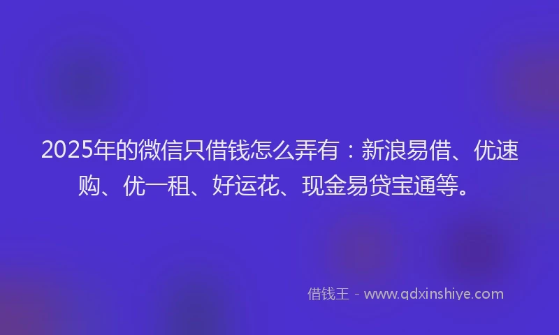 2025年的微信只借钱怎么弄有：新浪易借、优速购、优一租、好运花、现金易贷宝通等。