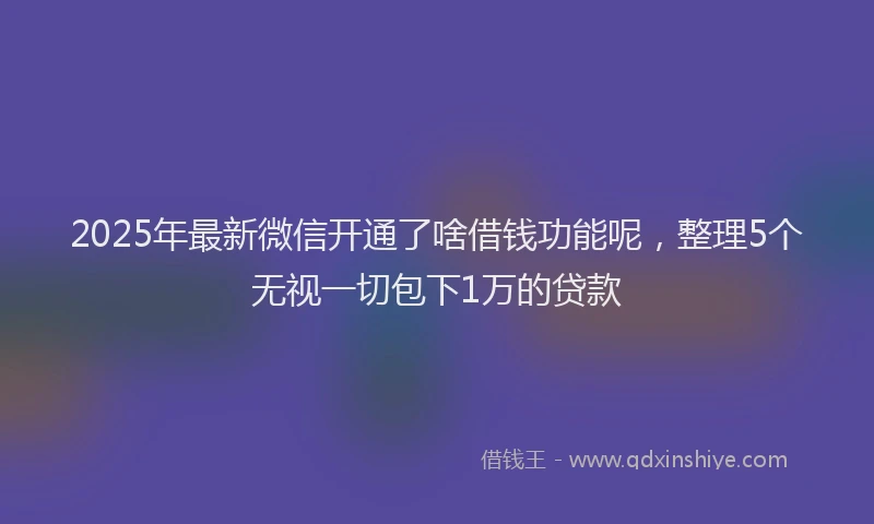 2025年最新微信开通了啥借钱功能呢，整理5个无视一切包下1万的贷款