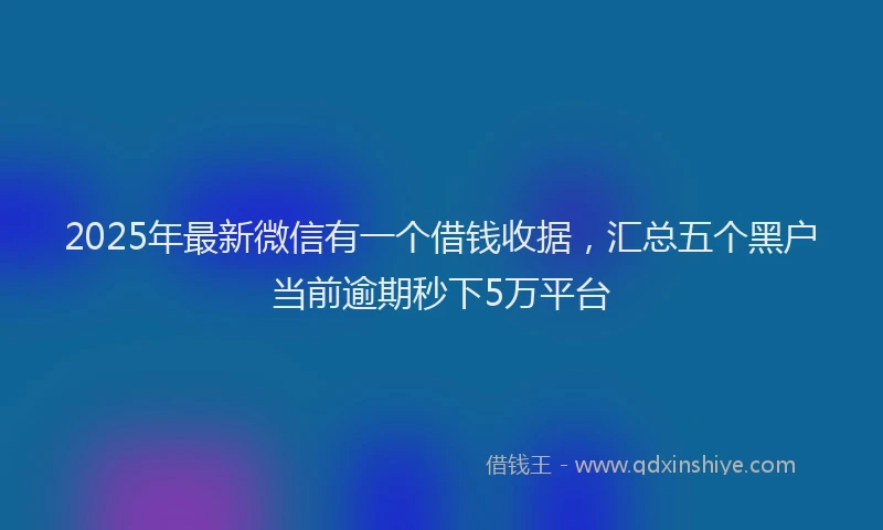 2025年最新微信有一个借钱收据，汇总五个黑户当前逾期秒下5万平台