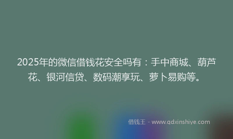 2025年的微信借钱花安全吗有：手中商城、葫芦花、银河信贷、数码潮享玩、萝卜易购等。
