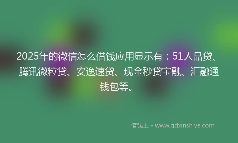 2025年的微信怎么借钱应用显示有：51人品贷、腾讯微粒贷、安逸速贷、现金秒贷宝融、汇融通钱包等。