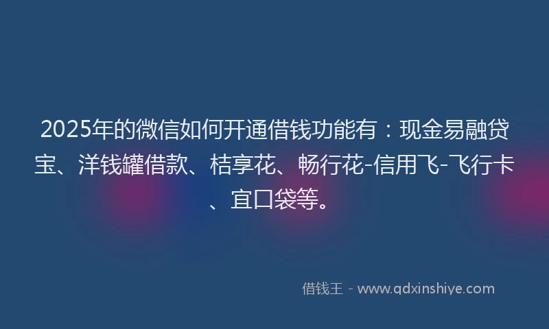 2025年的微信如何开通借钱功能有：现金易融贷宝、洋钱罐借款、桔享花、畅行花-信用飞-飞行卡、宜口袋等。