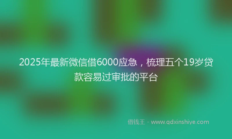 2025年最新微信借6000应急，梳理五个19岁贷款容易过审批的平台