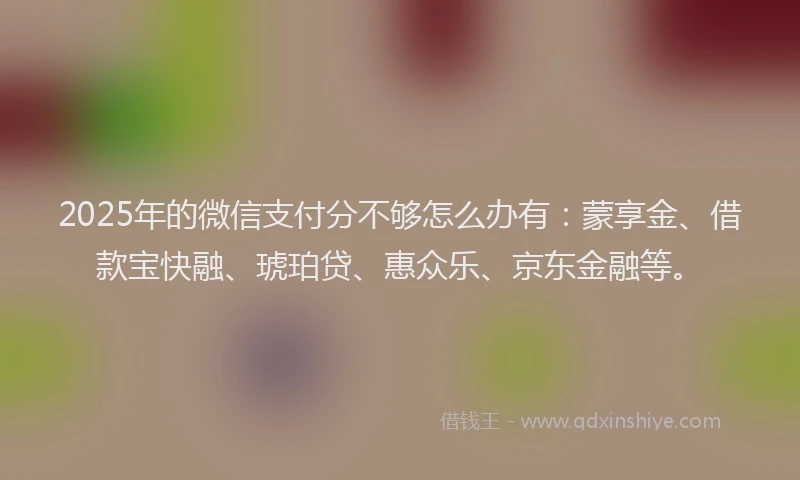 2025年的微信支付分不够怎么办有：蒙享金、借款宝快融、琥珀贷、惠众乐、京东金融等。