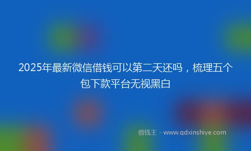 2025年最新微信借钱可以第二天还吗，梳理五个包下款平台无视黑白