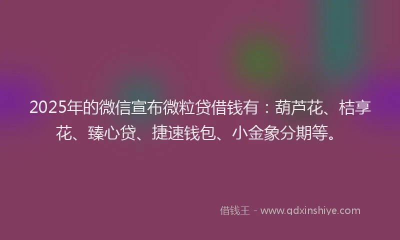 2025年的微信宣布微粒贷借钱有：葫芦花、桔享花、臻心贷、捷速钱包、小金象分期等。
