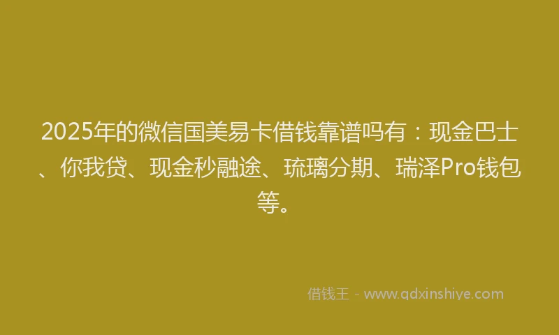 2025年的微信国美易卡借钱靠谱吗有：现金巴士、你我贷、现金秒融途、琉璃分期、瑞泽Pro钱包等。
