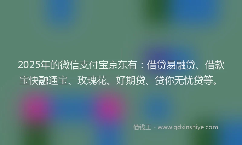 2025年的微信支付宝京东有：借贷易融贷、借款宝快融通宝、玫瑰花、好期贷、贷你无忧贷等。
